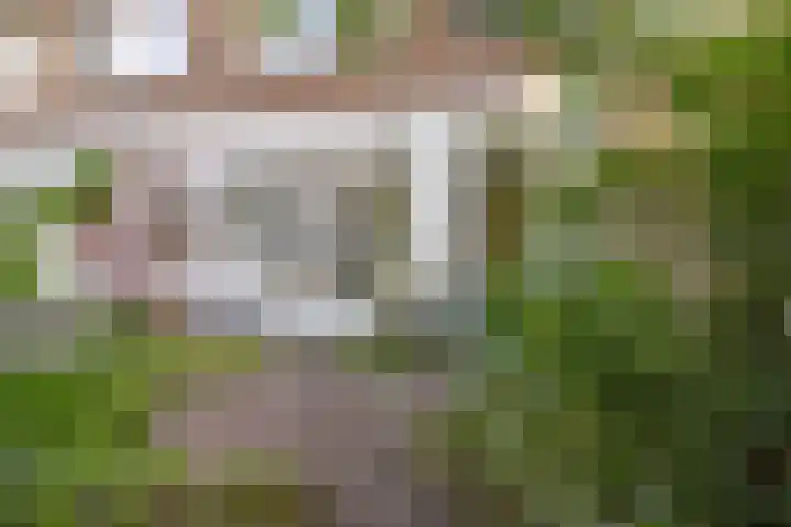 Adolf van Cortenbachstraat 85 Eindhoven thumbnail 6