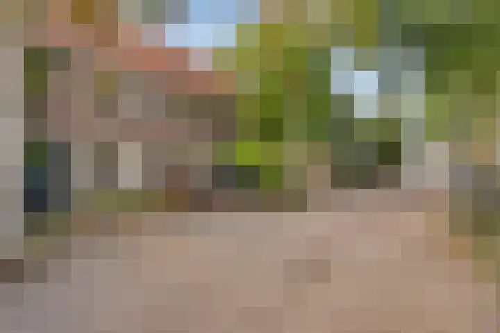 Adolf van Cortenbachstraat 85 Eindhoven thumbnail 8