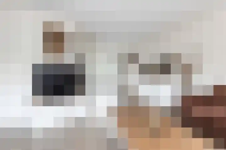 Adolf van Nassaustraat 12 Wezep thumbnail 14