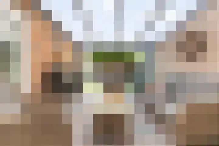Adolf van Nassaustraat 12 Wezep thumbnail 16