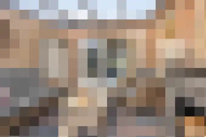 Adolf van Nassaustraat 12 Wezep thumbnail 17