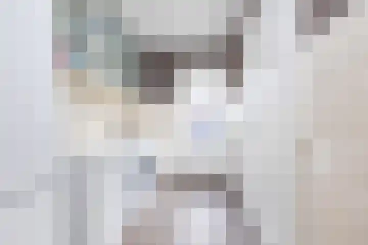 Adolf van Nassaustraat 12 Wezep thumbnail 22