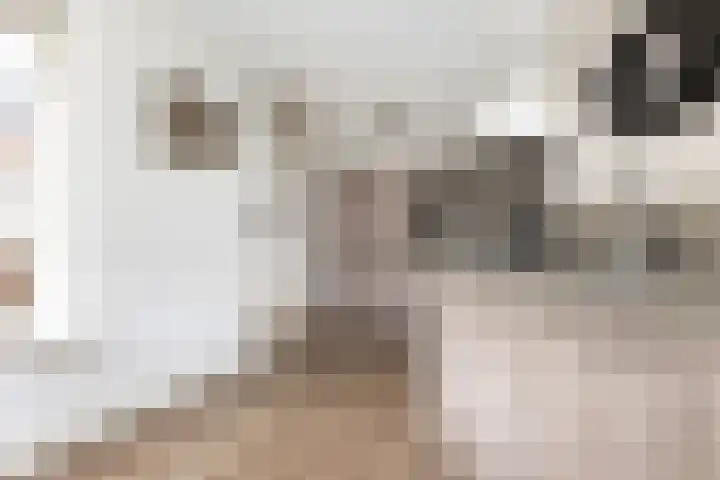 Adolf van Nassaustraat 12 Wezep thumbnail 24