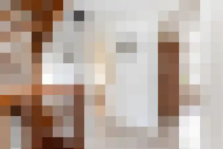 Adolf van Nassaustraat 12 Wezep thumbnail 30