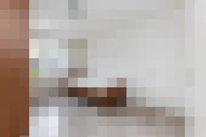Adolf van Nassaustraat 12 Wezep thumbnail 32