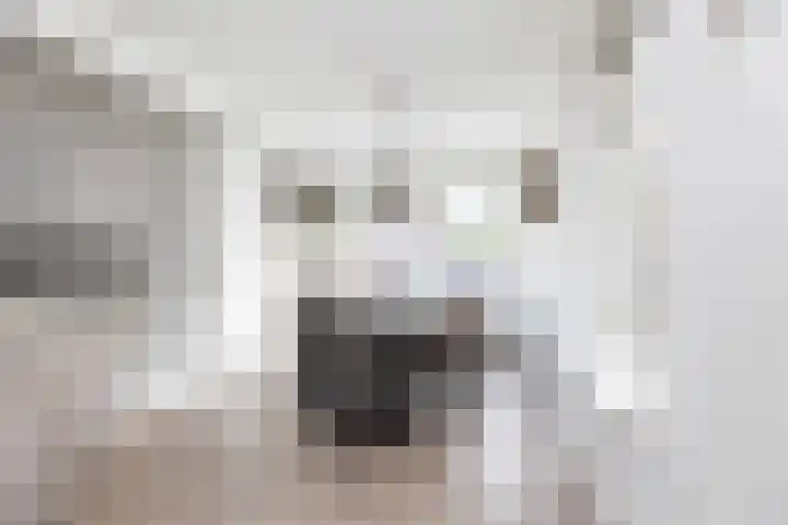 Adolf van Nassaustraat 12 Wezep thumbnail 5
