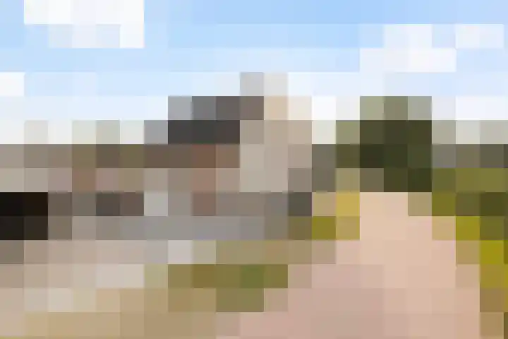 Adolf van Nassaustraat 12 Wezep thumbnail 6