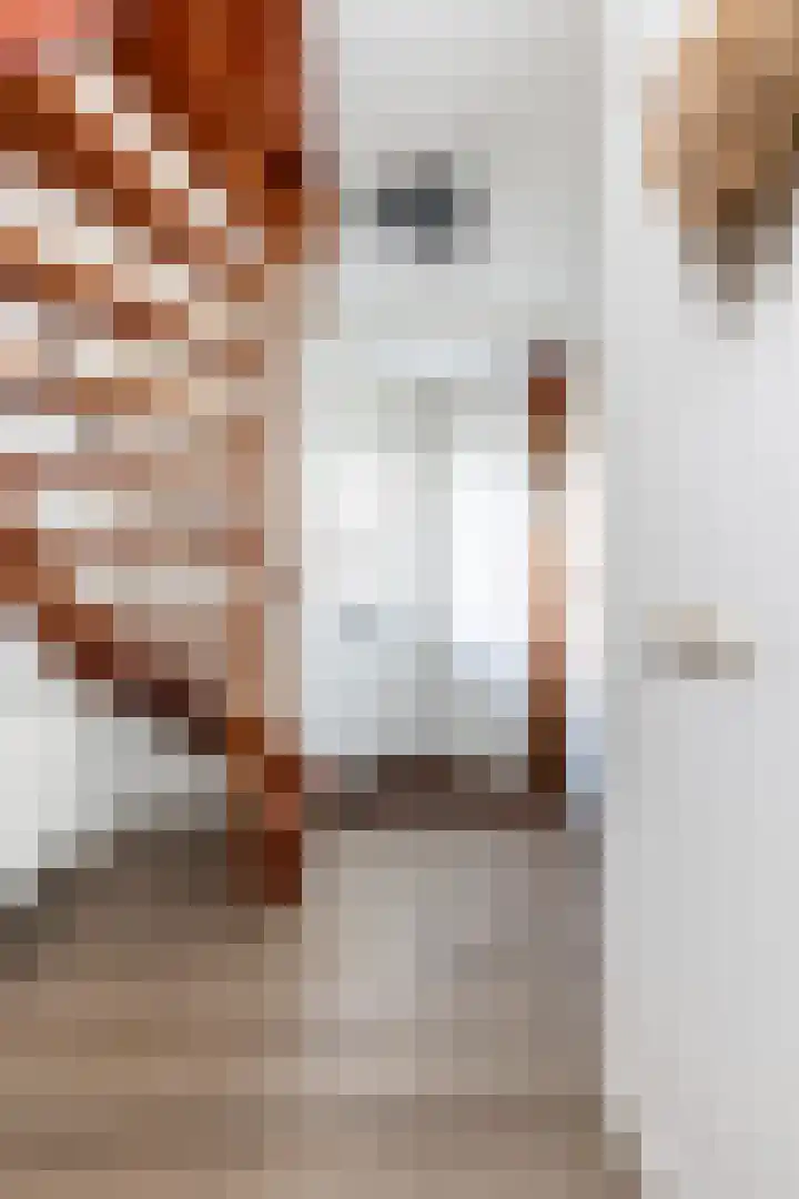 Adolf van Nassaustraat 12 Wezep thumbnail 8