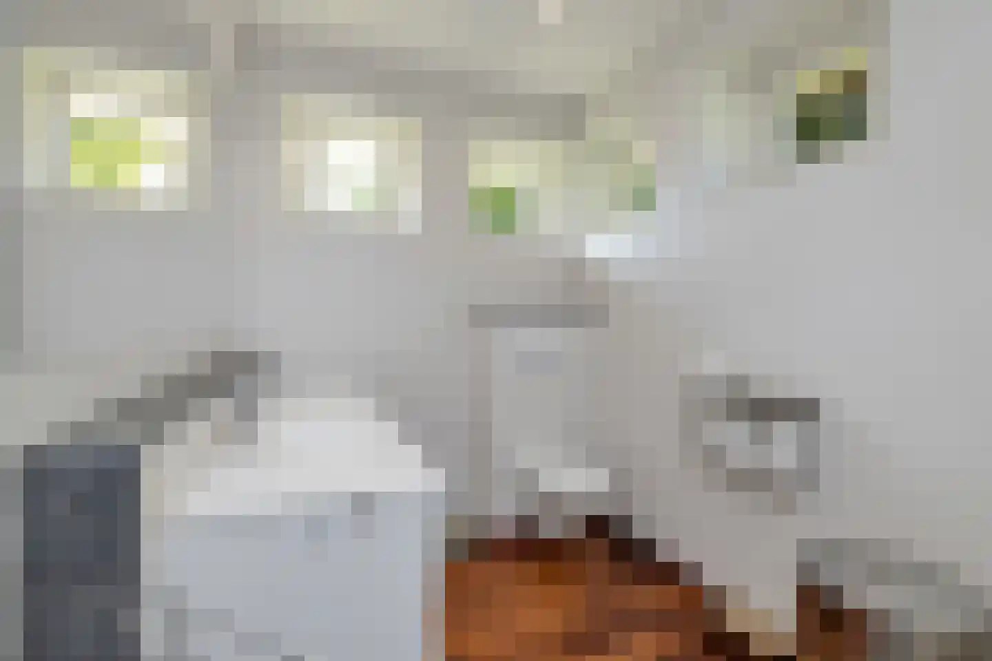 Adolph van Ansenlaan 10 Rolde thumbnail 34