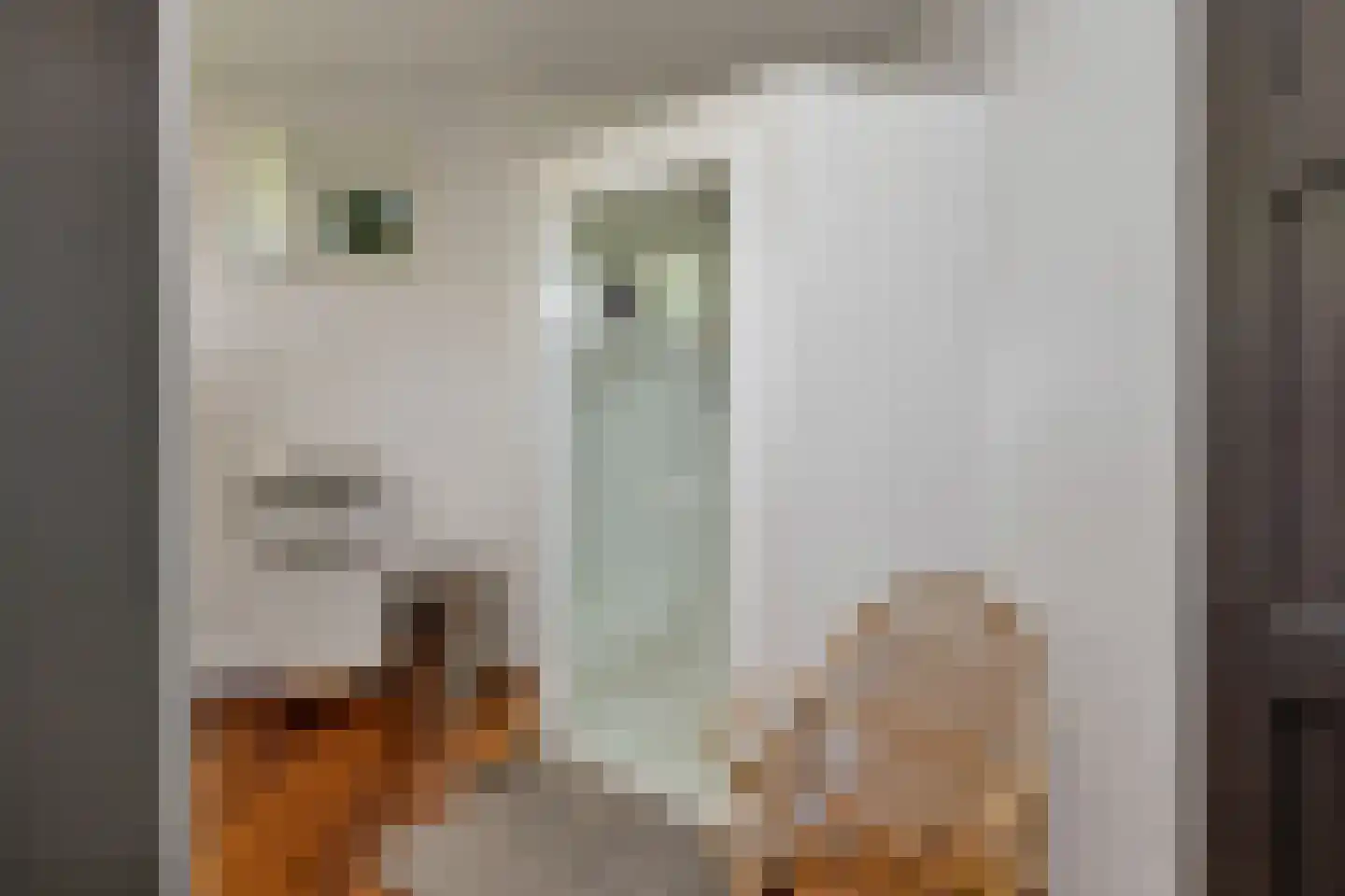 Adolph van Ansenlaan 10 Rolde thumbnail 35