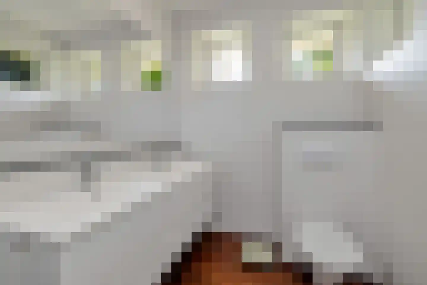 Adolph van Ansenlaan 10 Rolde thumbnail 36