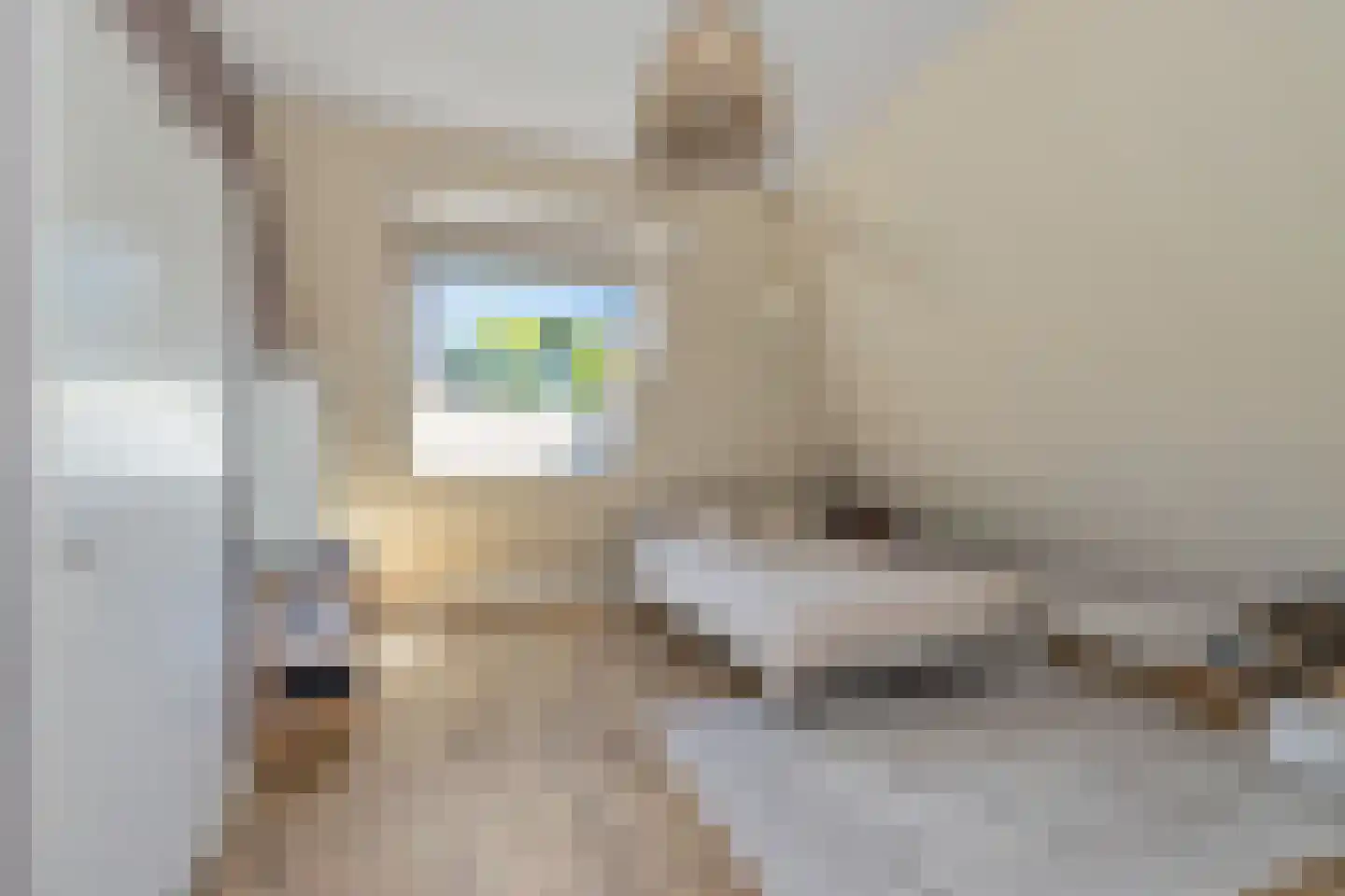 Adolph van Ansenlaan 10 Rolde thumbnail 38