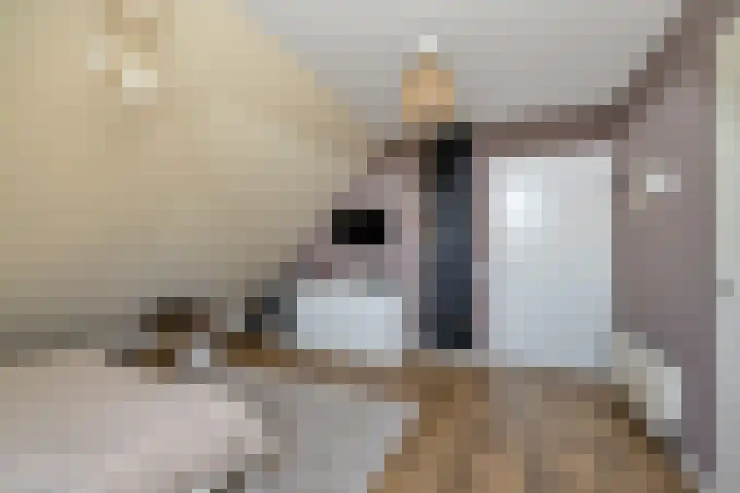 Adolph van Ansenlaan 10 Rolde thumbnail 39