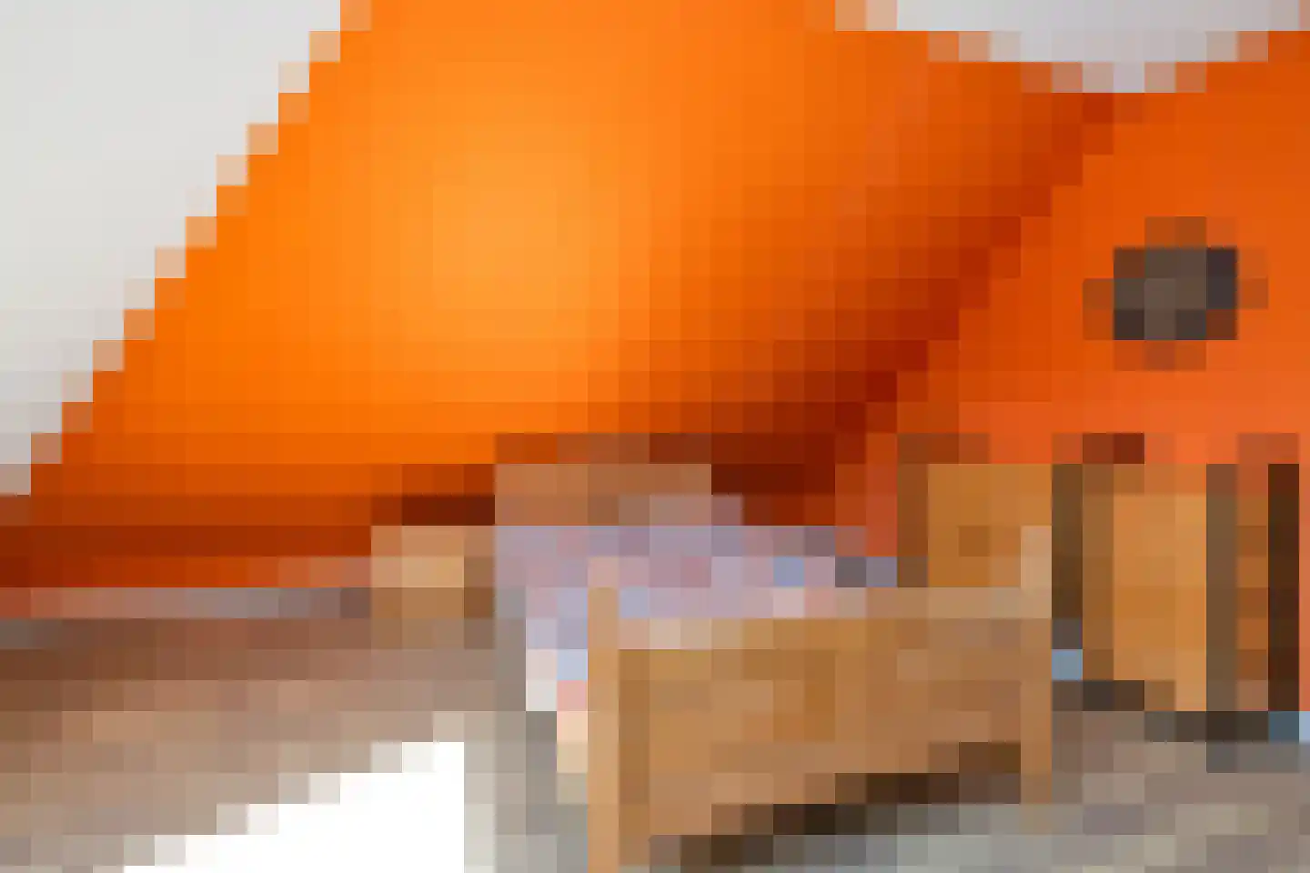 Adolph van Ansenlaan 10 Rolde thumbnail 47