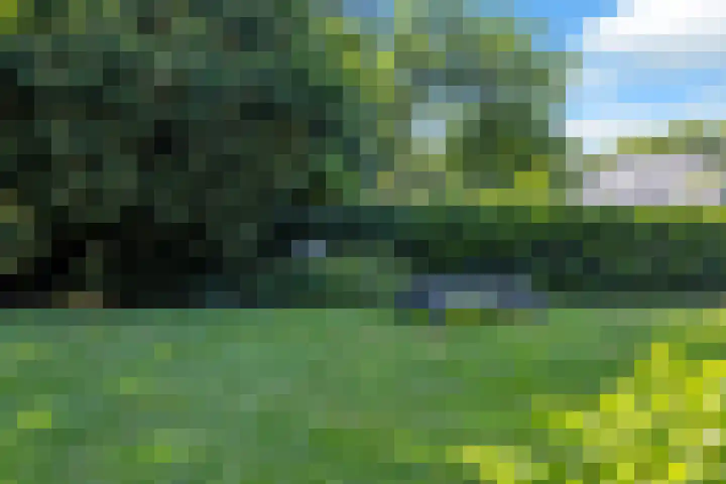 Adolph van Ansenlaan 10 Rolde thumbnail 64