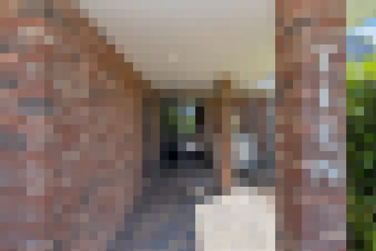 Adolph van Ansenlaan 10 Rolde thumbnail 8