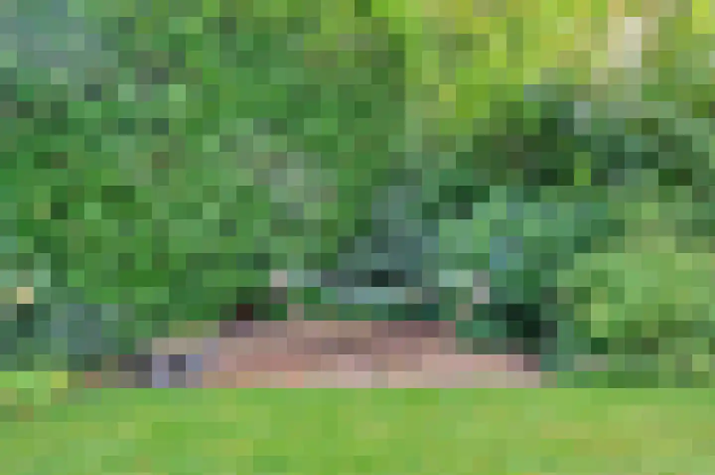 Adolph van Ansenlaan 24 Rolde thumbnail 64