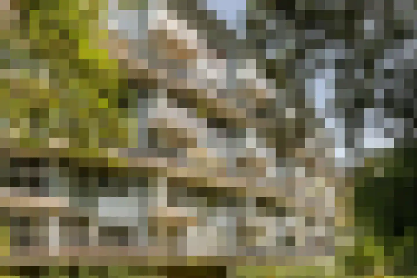 Adolphine Eduardine Kokplantsoen 29 Amsterdam thumbnail 5