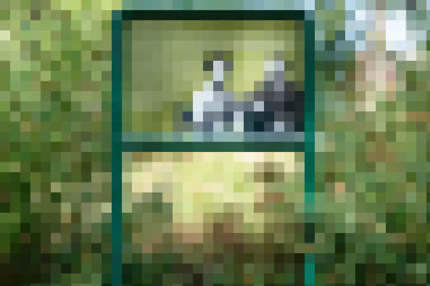 Adolphine Eduardine Kokplantsoen 48 Amsterdam thumbnail 38