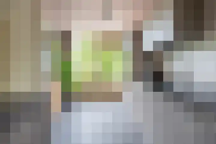 Adonislaan 18 Helmond thumbnail 17