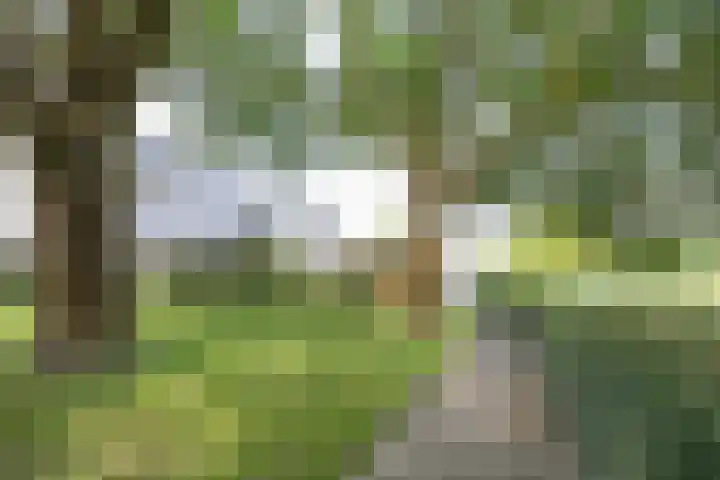 Adonislaan 18 Helmond thumbnail 33