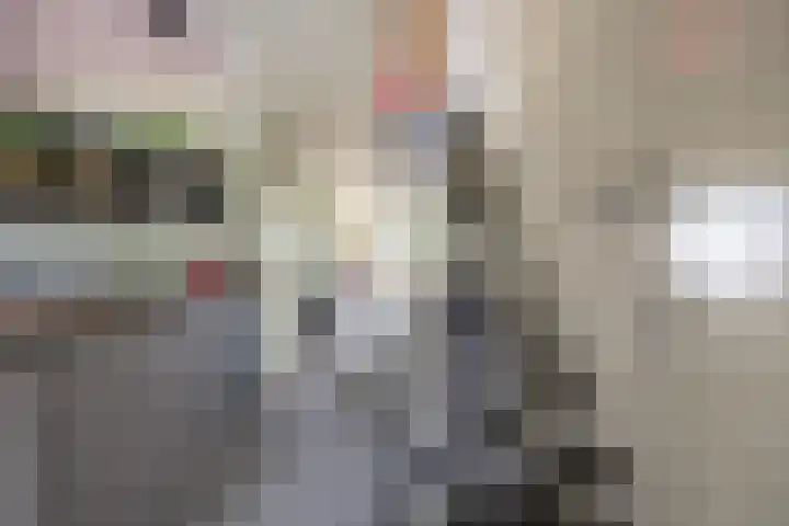 Adonislaan 18 Helmond thumbnail 8