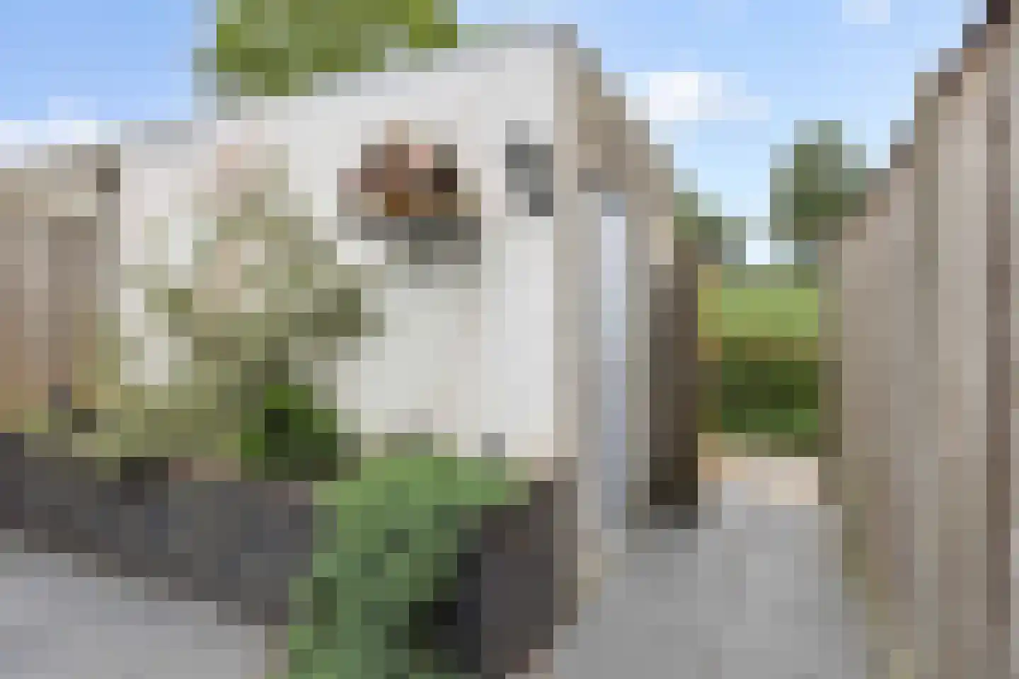 Adonislaan 25 Helmond thumbnail 35