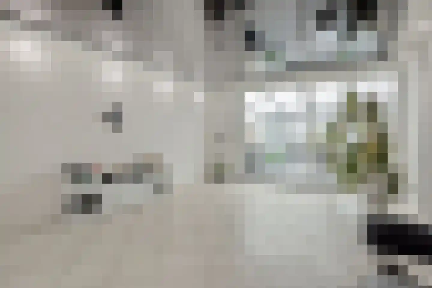 Adonislaan 25 Helmond thumbnail 8