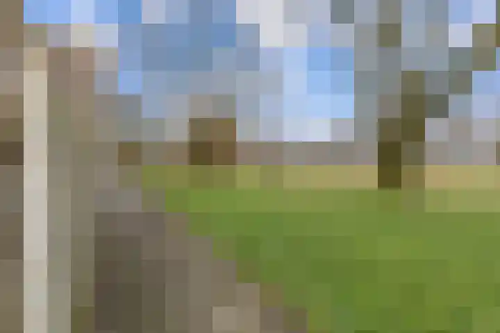 Adonislaan 37 Helmond thumbnail 41