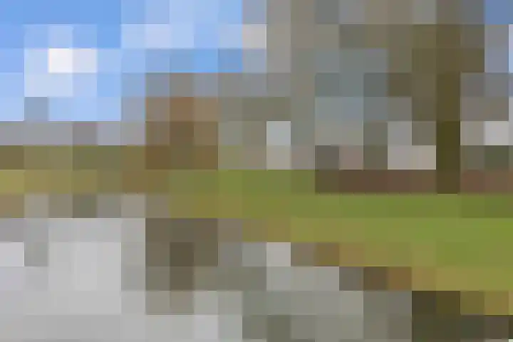 Adonislaan 37 Helmond thumbnail 44