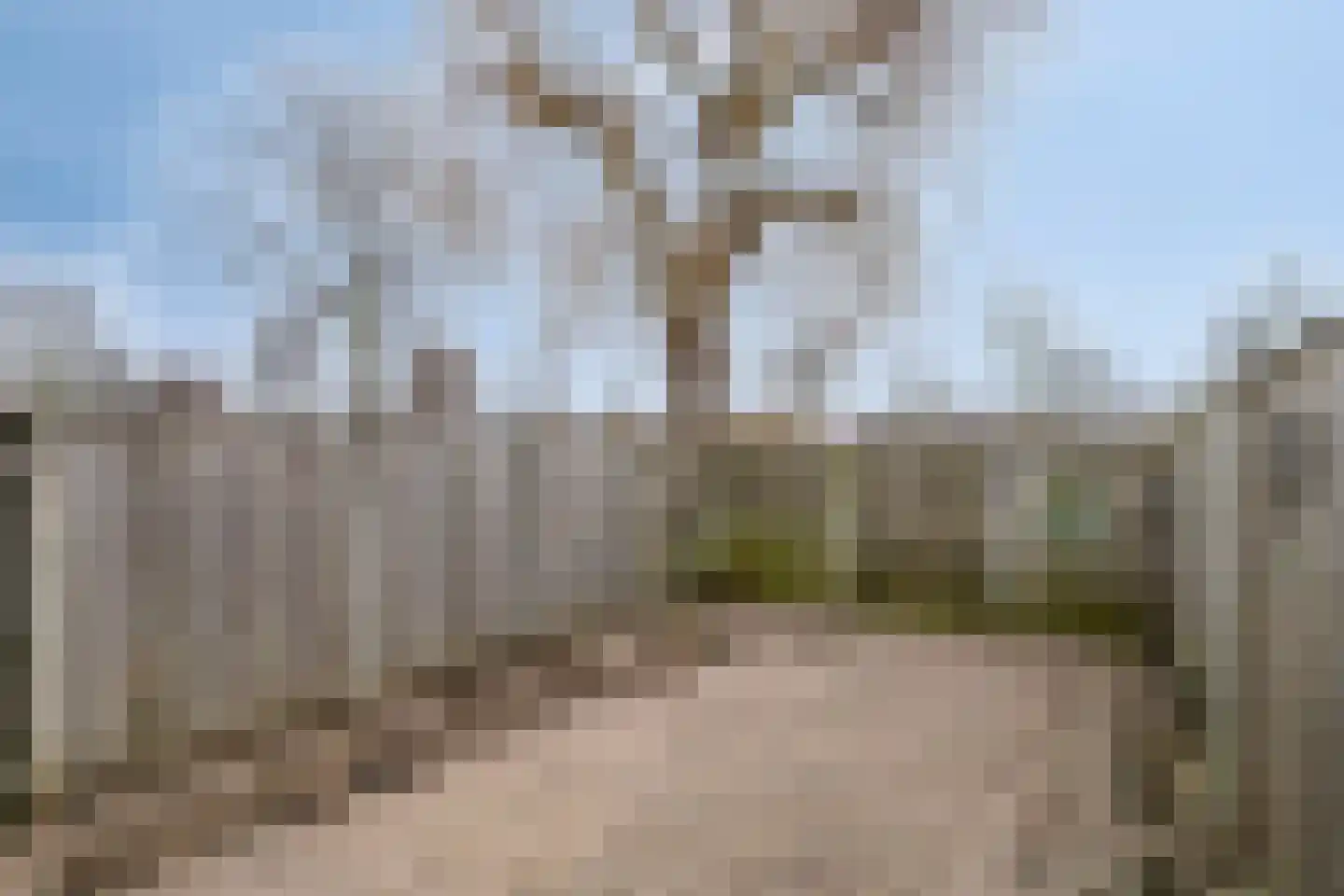 Adonislaan 4 Helmond thumbnail 28