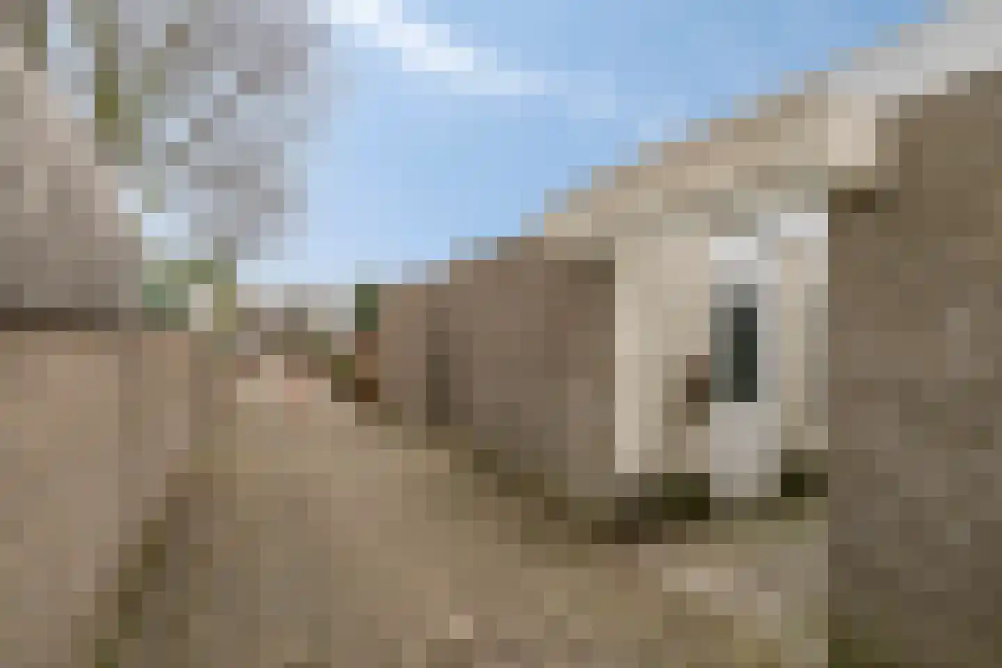 Adonislaan 4 Helmond thumbnail 30