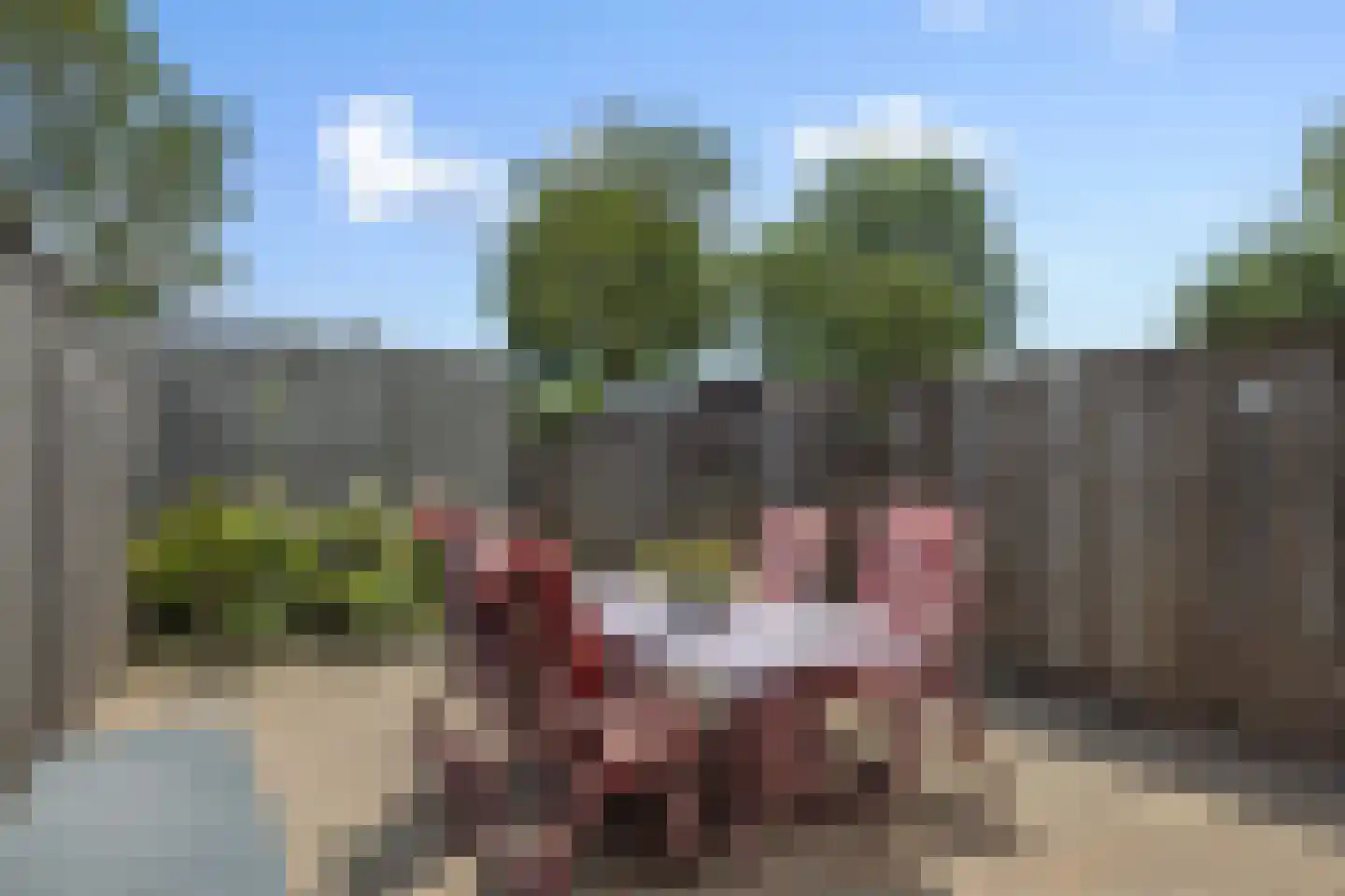 Adonislaan 43 Helmond thumbnail 32