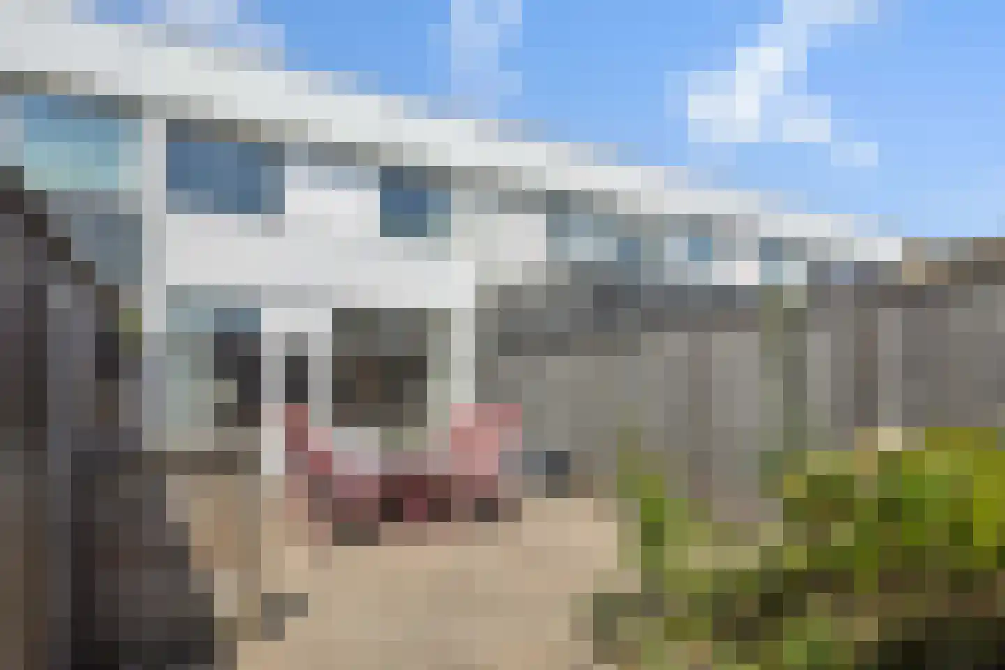 Adonislaan 43 Helmond thumbnail 34