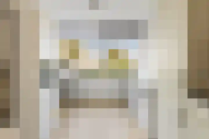 Adonislaan 7 Helmond thumbnail 10