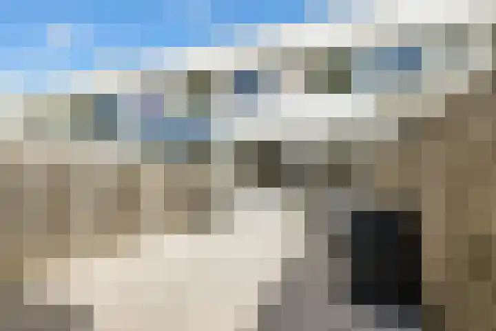 Adonislaan 7 Helmond thumbnail 25