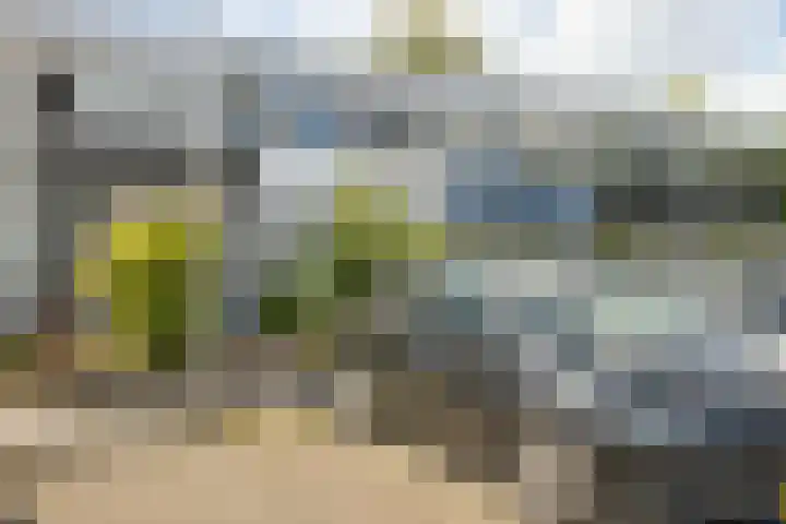 Adonislaan 7 Helmond thumbnail 31
