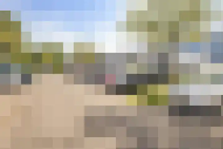 Adonislaan 7 Helmond thumbnail 33