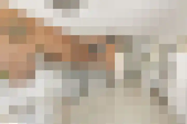 Adonislaan 7 Helmond thumbnail 5