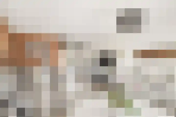 Adonislaan 7 Helmond thumbnail 6