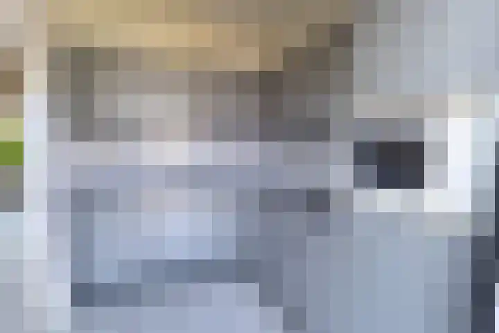 Adonispad 9 Eindhoven thumbnail 10