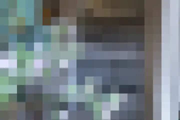 Adonispad 9 Eindhoven thumbnail 11