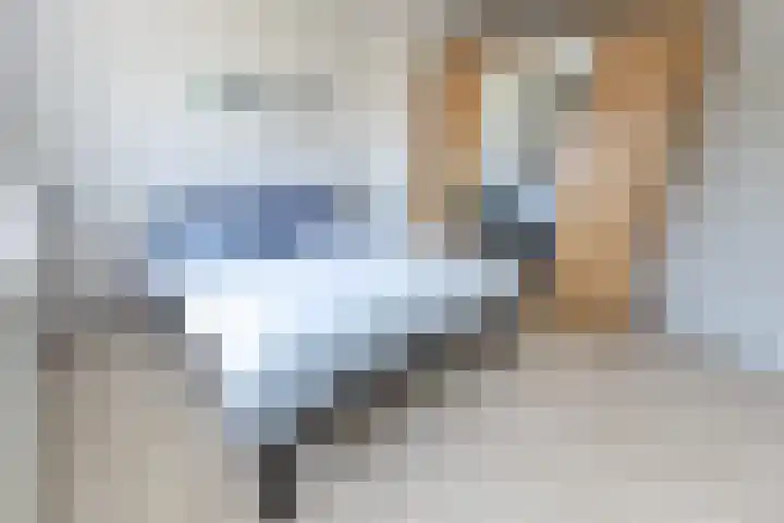 Adonispad 9 Eindhoven thumbnail 16
