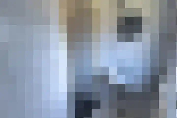 Adonispad 9 Eindhoven thumbnail 19
