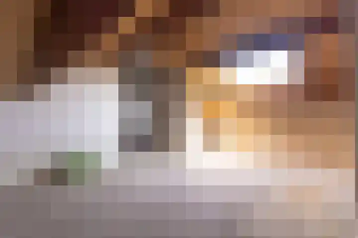 Adonispad 9 Eindhoven thumbnail 22