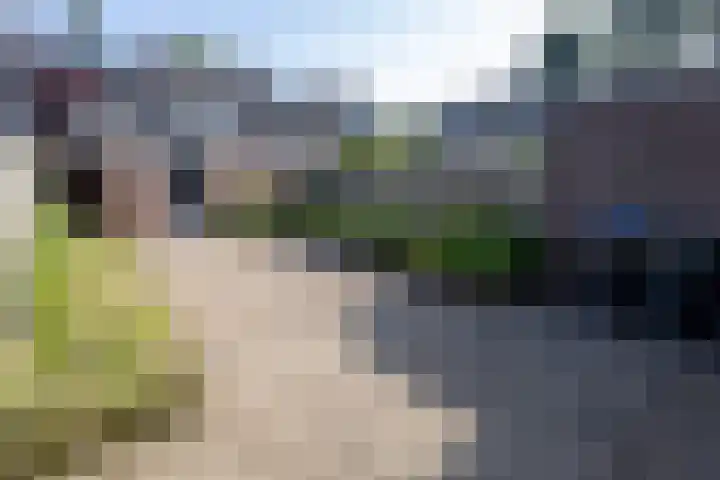 Adonispad 9 Eindhoven thumbnail 24