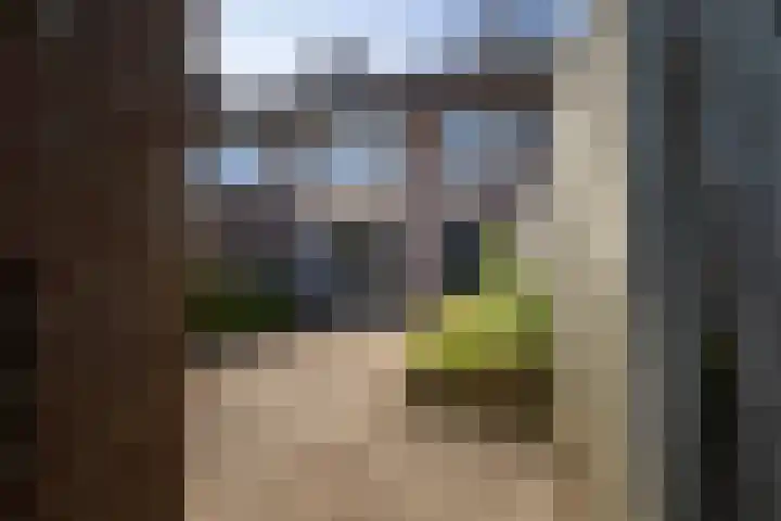 Adonispad 9 Eindhoven thumbnail 25