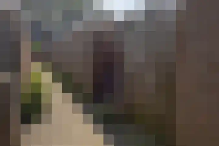 Adonispad 9 Eindhoven thumbnail 27
