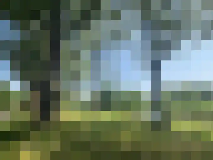 Adonispad 9 Eindhoven thumbnail 28