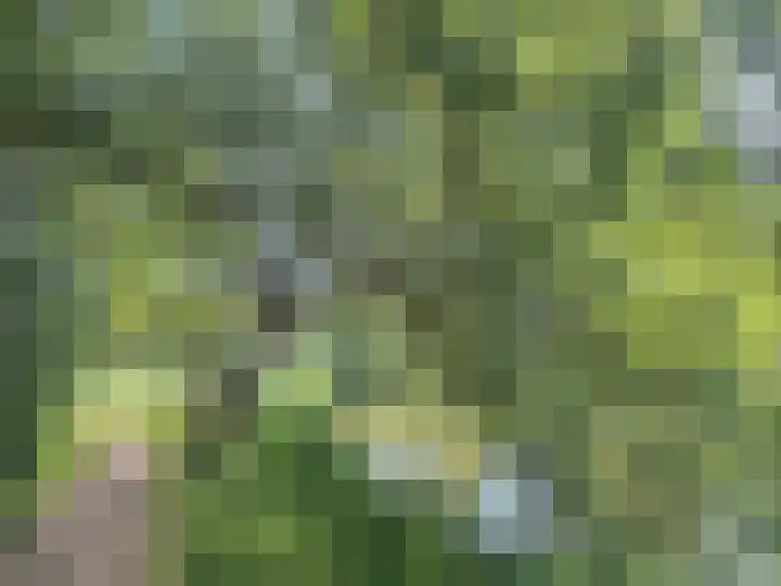 Adonispad 9 Eindhoven thumbnail 29